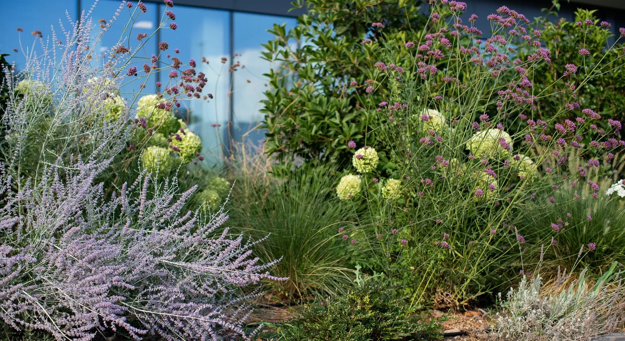 progettazione giardini